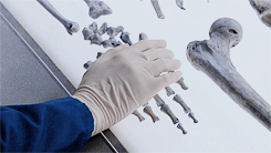 Bones 11x01 GIF - Conseguir o melhor gif em GIFER