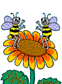 Пчела гифки, анимированные GIF изображения пчела - скачать гиф картинки на  GIFER