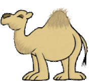 Camel GIFs - Get the best gif on GIFER