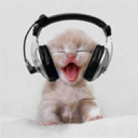 GIF disco, gatito, musical, mejores GIF animados musica, gata, chat, gato, descarga gratis escuchando,