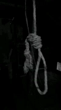 7bd115e29cd55117bf0f457ce320b0cb_w200.we