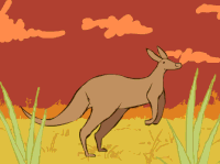 GIF kangaroo, animals, jumping, best animated GIFs free download 