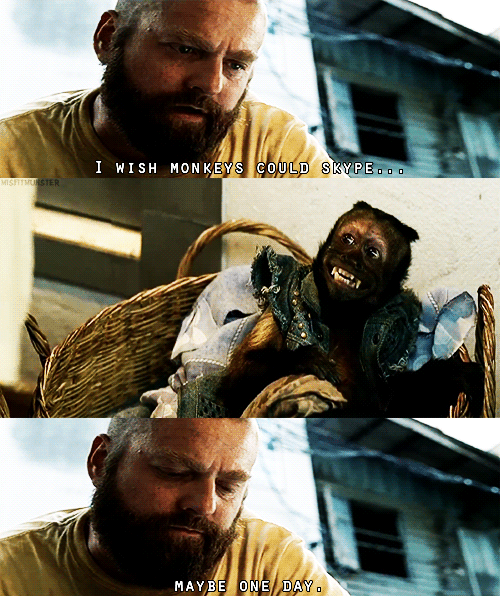 Hangover2 GIFs Get the best gif on GIFER