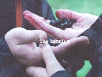 YARN, It was that or poison berries., The Hunger Games Catching Fire  (2013), Video gifs by quotes, 1227b0f5