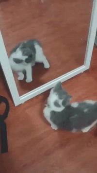 mirror you moving gif