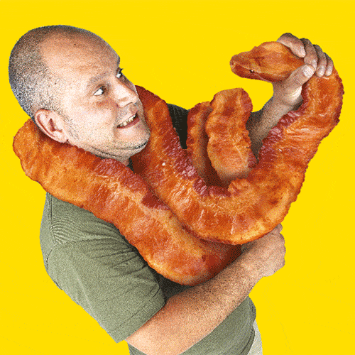 Boa constrictor GIF - Conseguir o melhor gif em GIFER