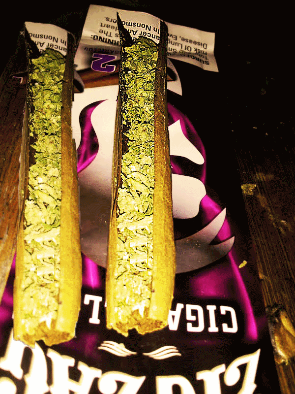 Blunt GIFs Get the best gif on GIFER