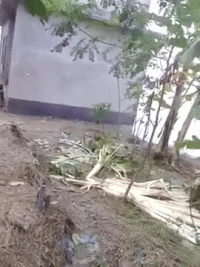 Landslide GIFs - Get the best gif on GIFER Landslide GIFs - Get the best gif on GIFER