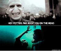 Harry potter funny GIF on GIFER - by Conjurim