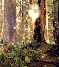 Enchanted forest GIFs - Get the best gif on GIFER