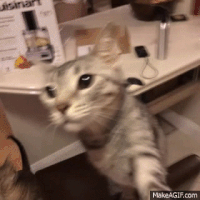 Coputation Gif Compute GIFs - Get the best gif on GIFER