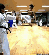 karate kid kick gif