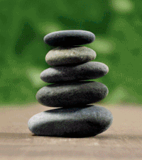 Toyota GIFs - Get the best gif on GIFER