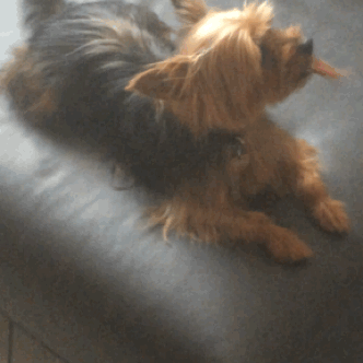 8853391489d763ab36e495ab6cbfd180.gif