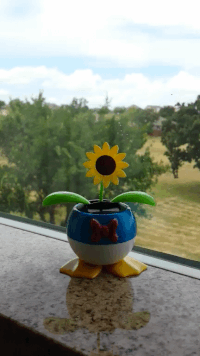 Sunflower The GIF - Sunflower The Comfys - Discover & Share GIFs