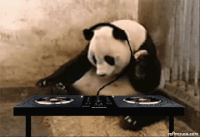 Panda dance GIF on GIFER - by Thunderstaff