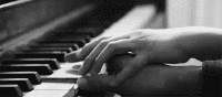 Música GIF, amor, fofo, melhores GIFs animados em preto e branco, mãos, amantes, piano, download gratuito melancolia, passarinho, cinco dedos