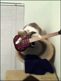 8d5690dd99fcdb1a5355507552b820c3_w200.gif