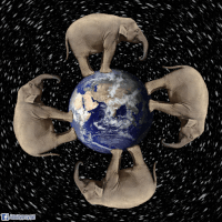 8f8a22b1d945cad81766663612741129_w200.gif