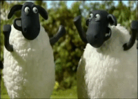 GIF shaun, sheeps, prismo, best animated GIFs free download 