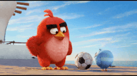 GIFs Angry birds Kick Movie GIF