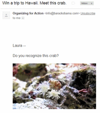 Pom Gifs Get The Best Gif On Gifer