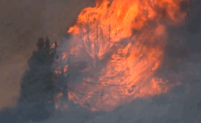 Incendios GIFs Get The Best Gif On GIFER