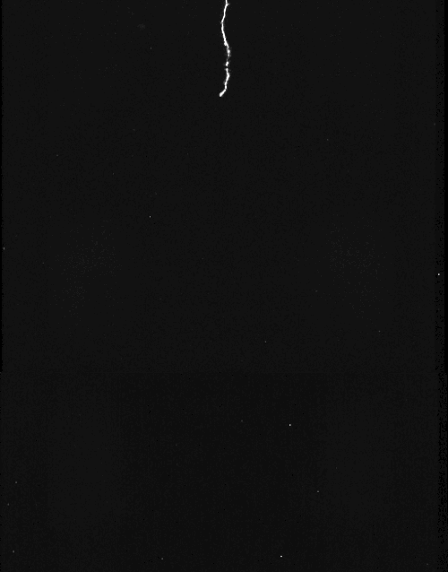 Root GIFs Get the best gif on GIFER