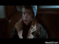 Home Alone 2 Gifs Get The Best Gif On Gifer