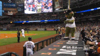 Astros GIFs - Get the best gif on GIFER