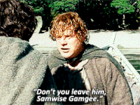 Samwise GIFs - Get the best gif on GIFER