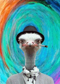 93e167e1214cb4aecaccf562f8b60a00_w200.webp