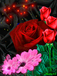 Цветы гифки, анимированные GIF изображения цветы - скачать гиф картинки на GIFER
