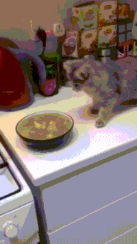 Soups GIFs - Get the best gif on GIFER