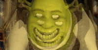 Shrek GIFs - The Best GIF Collections Are On GIFSEC