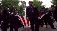 Remembrance GIFs - Get the best gif on GIFER