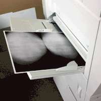 Copier GIFs - Get the best gif on GIFER