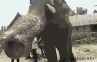 Selfies GIFs - Get the best gif on GIFER