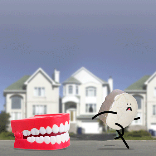 Cheese head GIFs Get the best gif on GIFER