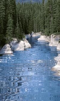 Forest pixel river GIF on GIFER - by Mugul