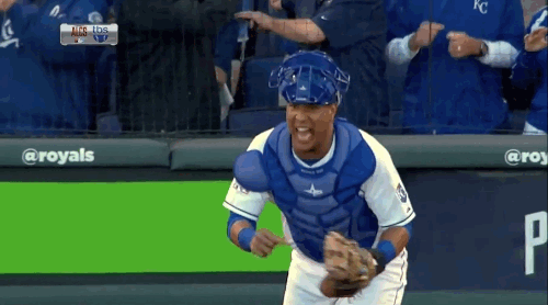 Kc royals GIFs - Get the best gif on GIFER