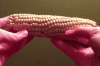 Slime Gifs Get The Best Gif On Gifer