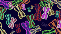 Dna GIFs - Get the best gif on GIFER