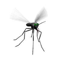 Mosquitos GIF - Conseguir el mejor gif en GIFER