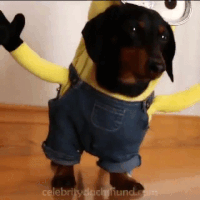 a3d0e0697ca91587bf0ccd377189280c_w200.gif