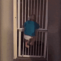 Prison GIFs - Get the best gif on GIFER