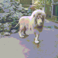 лев казино россия