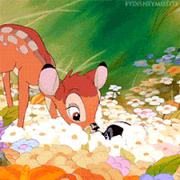 Bambi GIFs - Get the best gif on GIFER