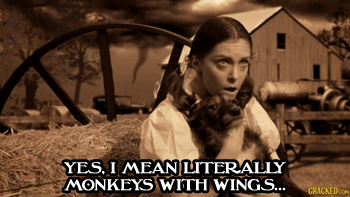 Pigtails GIF - Conseguir o melhor gif em GIFER
