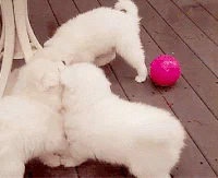 a688bec64d366ee33d5959d4d1b1c199_w200.webp